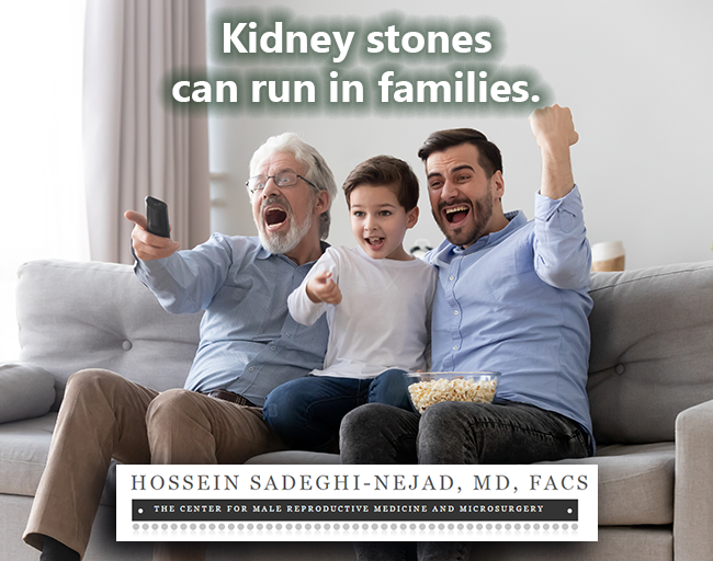 Kidney stones can run in families. Photo of three males—child, middle aged, and elderly—cheering in reaction to TV