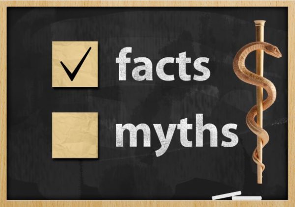 Chalkboard with facts checked off verses myths